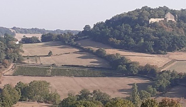 Les vignes et le château